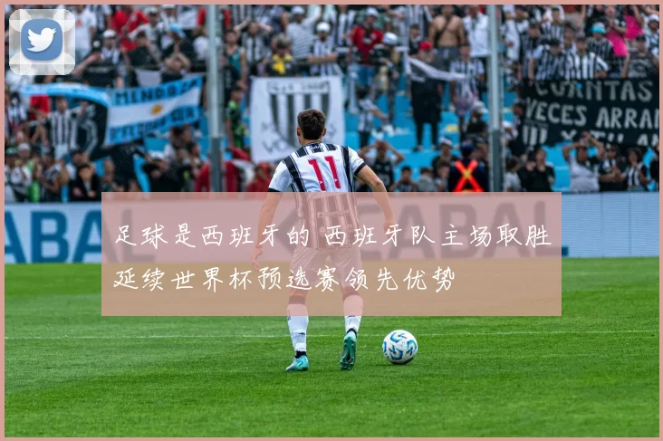 足球是西班牙的 西班牙队主场取胜延续世界杯预选赛领先优势