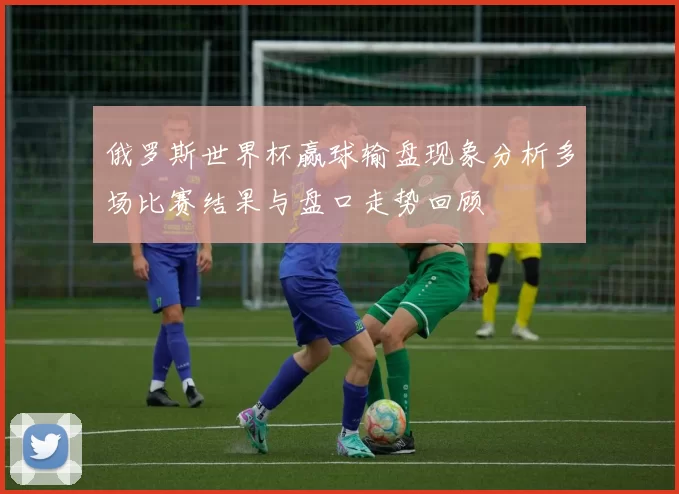 俄罗斯世界杯赢球输盘现象分析多场比赛结果与盘口走势回顾